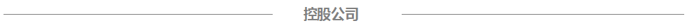 8868体育官网首页入口电气控股公司